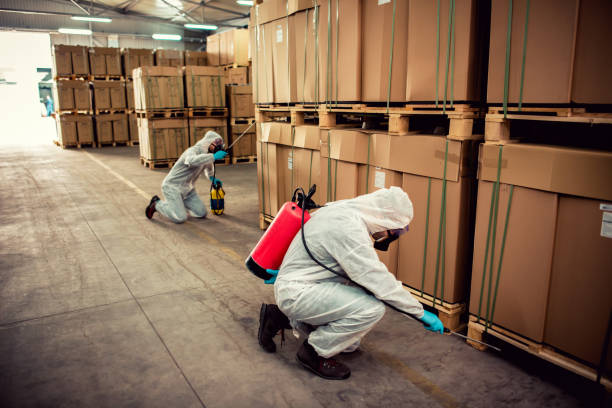 Best Best Pest Control Companies  in Ashtabula, OH