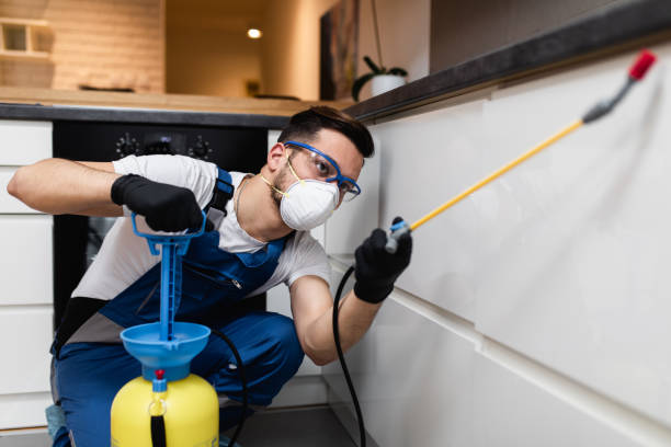 Best Local Pest Control Services  in Ashtabula, OH