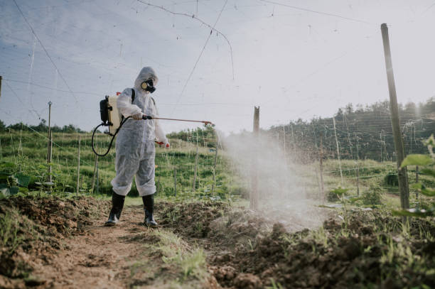 Best Mosquito Control Services  in Ashtabula, OH