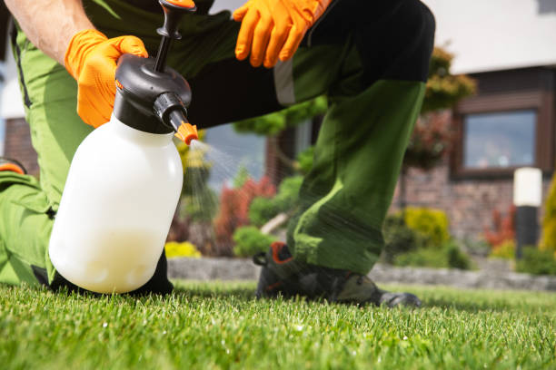Best Insect Control  in Ashtabula, OH