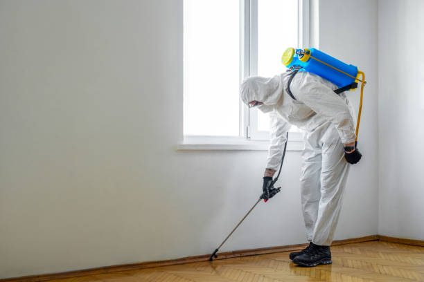 Wildlife Control Services in Ashtabula, OH