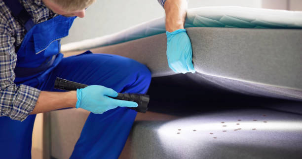 Wasp Removal Services in Ashtabula, OH