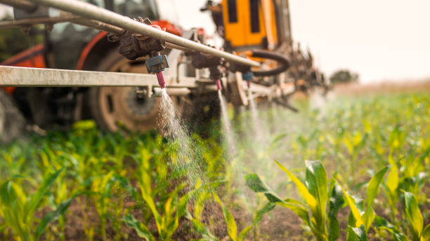 Professional Pest Control in Ashtabula, OH
